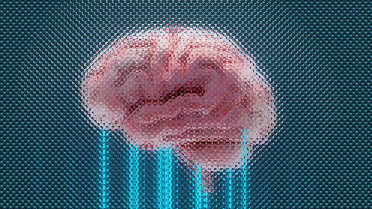 executive functioning