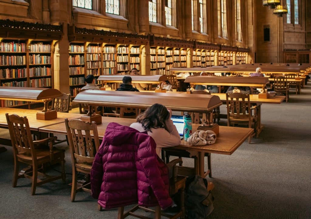 Executive Functioning